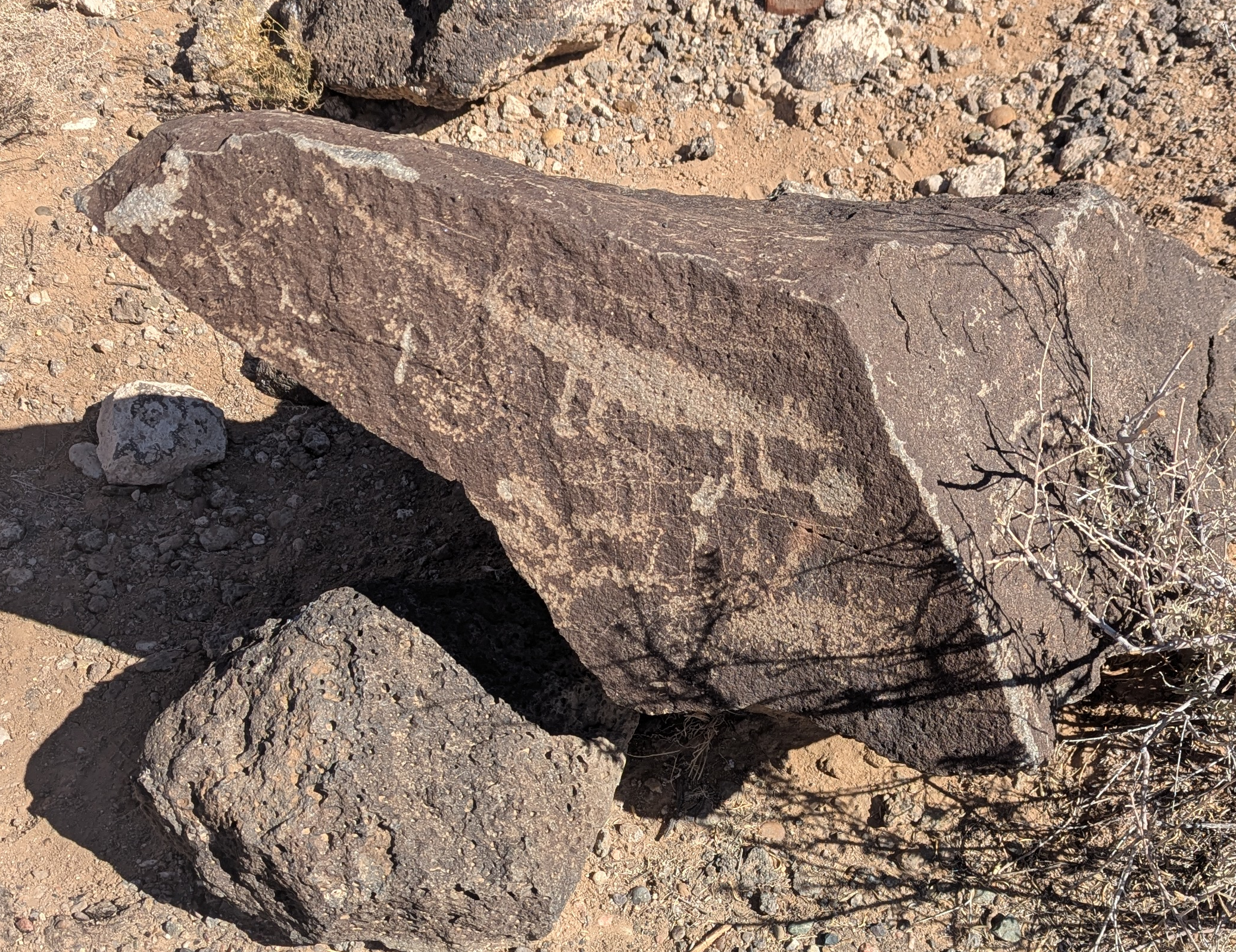 Interesting, yet ambiguous, petroglyph