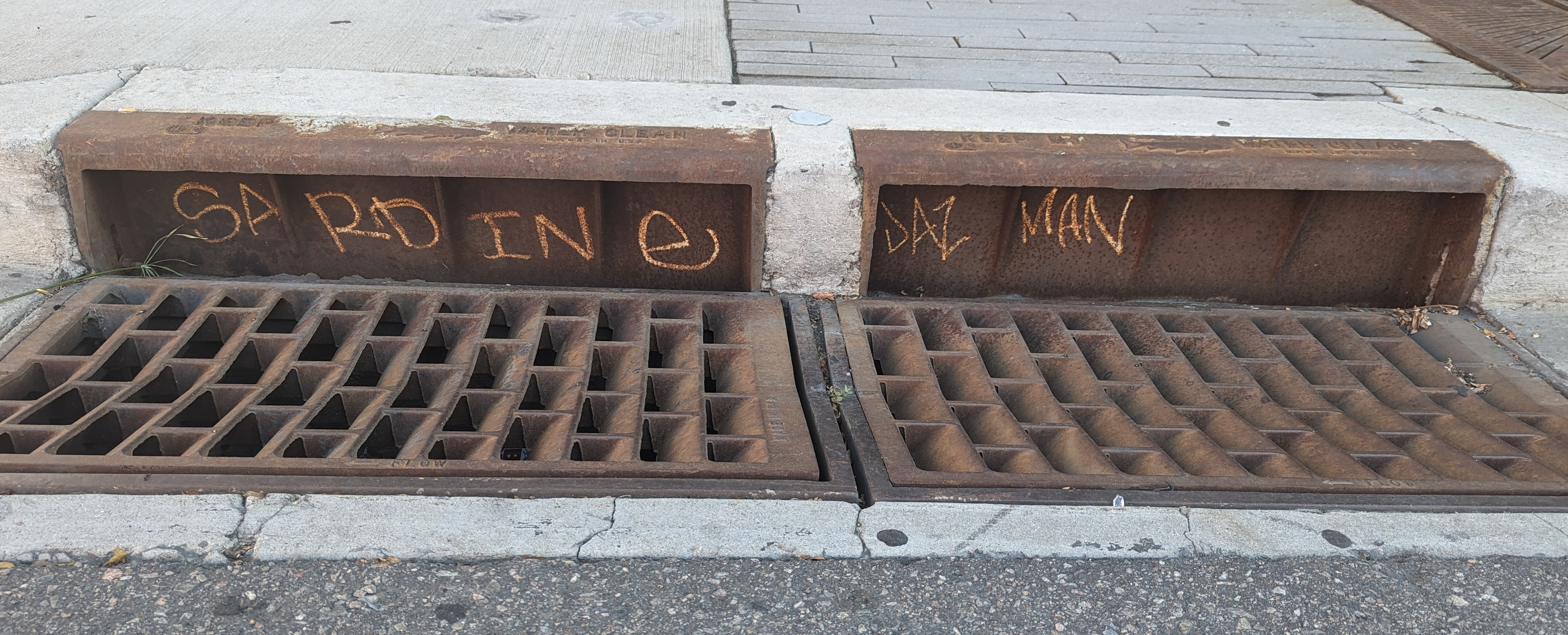 graffiti in a storm drain that says “SARDINE JAZMAN”